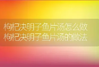 枸杞决明子鱼片汤怎么做 枸杞决明子鱼片汤的做法