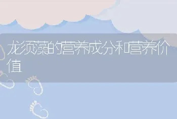 龙须藻的营养成分和营养价值