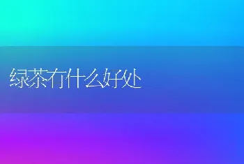 绿茶有什么好处