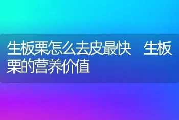 生板栗怎么去皮最快 生板栗的营养价值