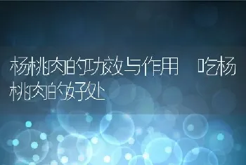 杨桃肉的功效与作用 吃杨桃肉的好处