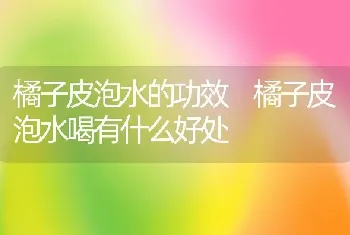 橘子皮泡水的功效 橘子皮泡水喝有什么好处