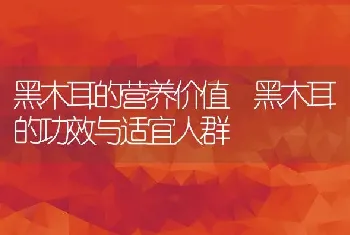 黑木耳的营养价值 黑木耳的功效与适宜人群