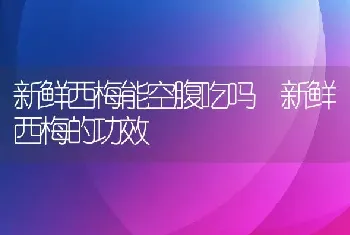 新鲜西梅能空腹吃吗 新鲜西梅的功效