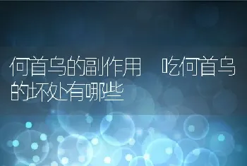 何首乌的副作用 吃何首乌的坏处有哪些