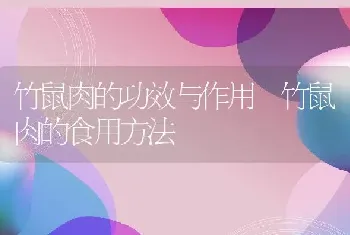 竹鼠肉的功效与作用 竹鼠肉的食用方法