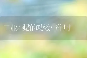 工业石蜡的功效与作用