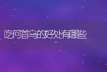 吃何首乌的好处有哪些