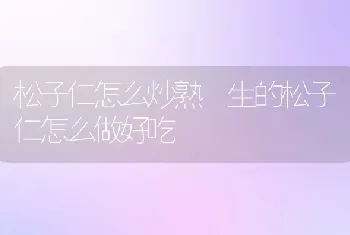 松子仁怎么炒熟 生的松子仁怎么做好吃