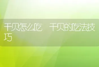 干贝怎么吃 干贝的吃法技巧