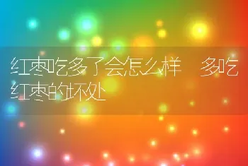 红枣吃多了会怎么样 多吃红枣的坏处