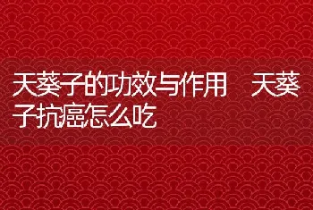 天葵子的功效与作用 天葵子抗癌怎么吃