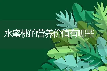 水蜜桃的营养价值有哪些