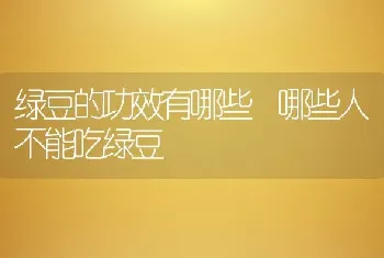 绿豆的功效有哪些 哪些人不能吃绿豆