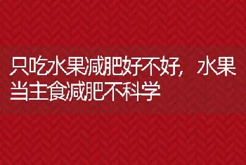 只吃水果减肥好不好,水果当主食减肥不科学