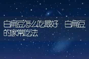 白扁豆怎么吃最好 白扁豆的家常吃法