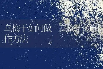 乌梅干如何做 乌梅干的制作方法