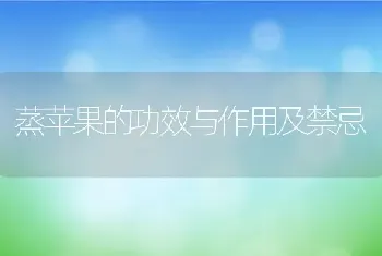 蒸苹果的功效与作用及禁忌