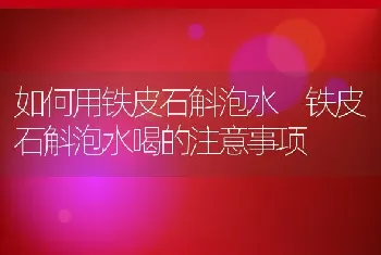 如何用铁皮石斛泡水 铁皮石斛泡水喝的注意事项