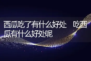 西瓜吃了有什么好处 吃西瓜有什么好处呢