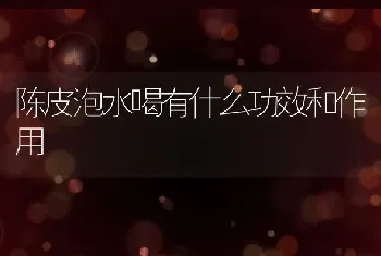 陈皮泡水喝有什么功效和作用