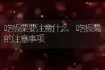 吃板栗要注意什么 吃板栗的注意事项