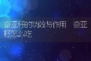 奇亚籽的功效与作用 奇亚籽怎么吃