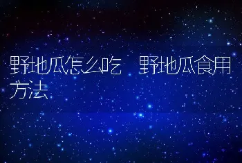 野地瓜怎么吃 野地瓜食用方法