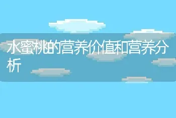 水蜜桃的营养价值和营养分析