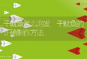 干鱿鱼怎么泡发 干鱿鱼的正确制作方法