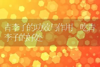 青李子的功效与作用 吃青李子的好处