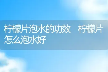 柠檬片泡水的功效 柠檬片怎么泡水好