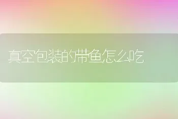 真空包装的带鱼怎么吃