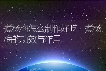 煮杨梅怎么制作好吃 煮杨梅的功效与作用