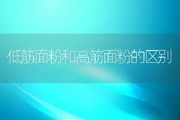 低筋面粉和高筋面粉的区别