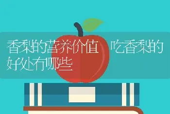 香梨的营养价值 吃香梨的好处有哪些