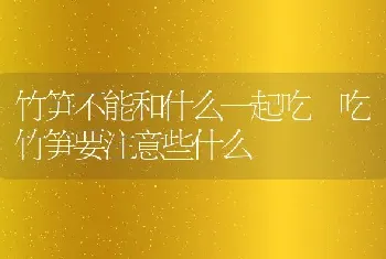 竹笋不能和什么一起吃 吃竹笋要注意些什么