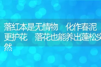 落红本是无情物 化作春泥更护花 落花也能养出蓬松突然