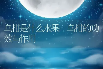 乌柑是什么水果 乌柑的功效与作用