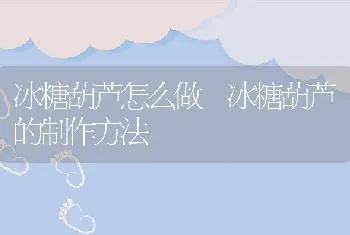 冰糖葫芦怎么做 冰糖葫芦的制作方法