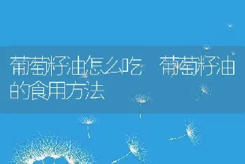 葡萄籽油怎么吃 葡萄籽油的食用方法