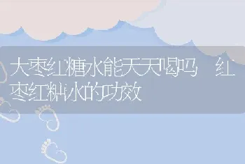 大枣红糖水能天天喝吗 红枣红糖水的功效