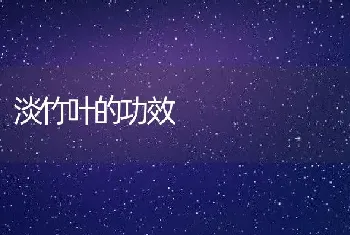 淡竹叶的功效