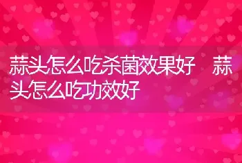 蒜头怎么吃杀菌效果好 蒜头怎么吃功效好