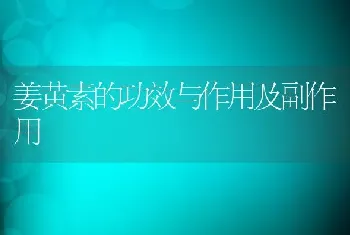 姜黄素的功效与作用及副作用