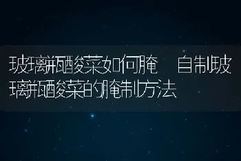 玻璃瓶酸菜如何腌 自制玻璃瓶酸菜的腌制方法