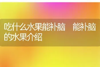 吃什么水果能补脑 能补脑的水果介绍