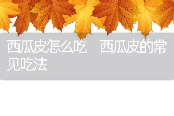 西瓜皮怎么吃 西瓜皮的常见吃法