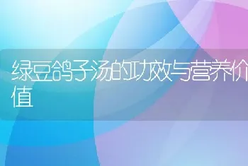 绿豆鸽子汤的功效与营养价值