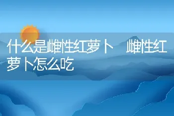 什么是雌性红萝卜 雌性红萝卜怎么吃